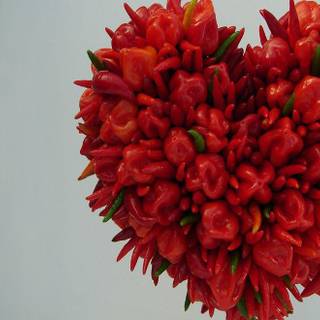 Beautiful flower pics