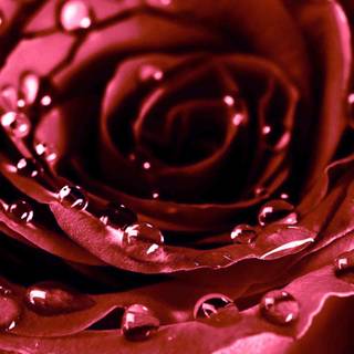 Latest wallpaper picture