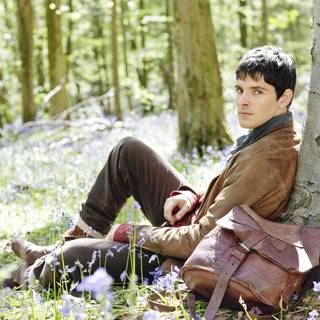 Merlin pictures