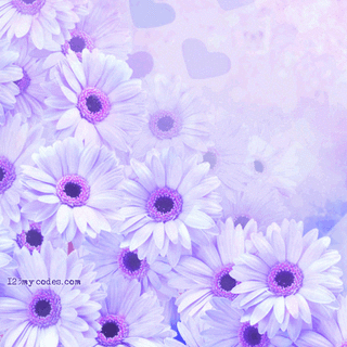 Flowers backgrounds
