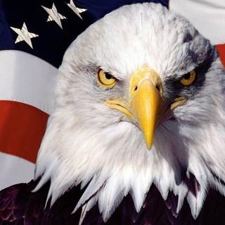 American flag wallpaper