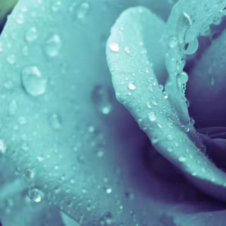 Wallpaper computer desktop