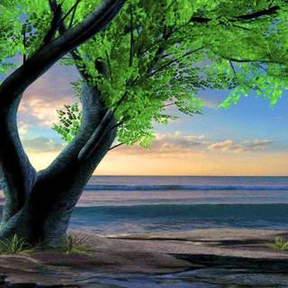 Fantasy nature wallpaper