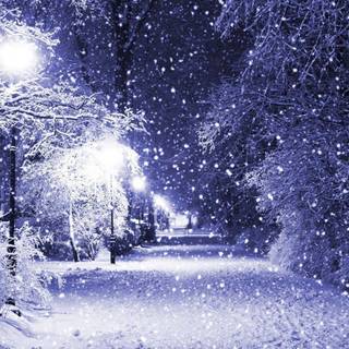 HD snow wallpaper