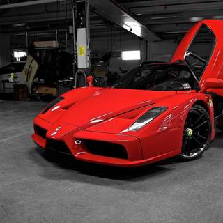 Ferrari Enzo wallpaper