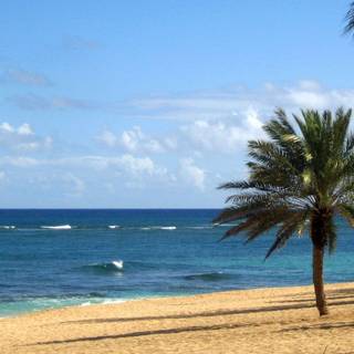 Free scenic wallpaper for desktop