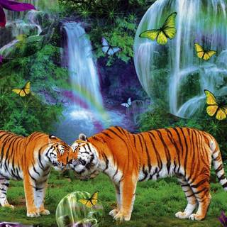 Tiger pictures wallpaper