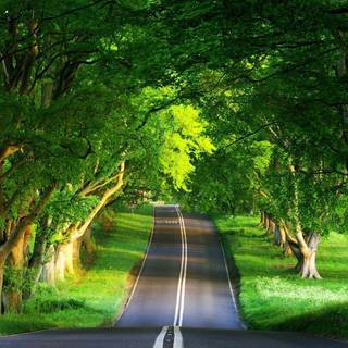 Summer wallpaper 1920x1080