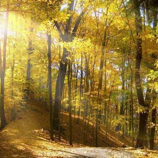 Windows 8 wallpaper 1920x1080