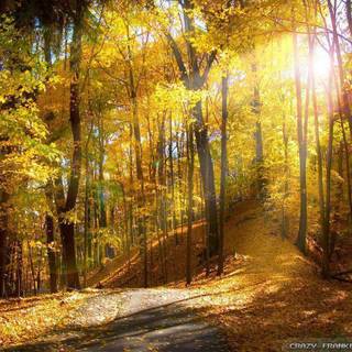 Seasonal desktop backgrounds