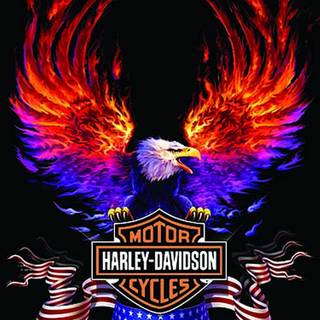 Harley Davidson background pictures