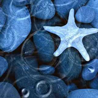 Free screensavers and wallpaper for computers