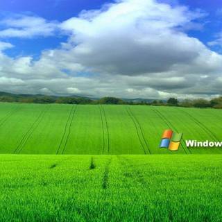 XP wallpaper