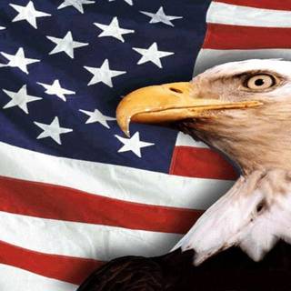 Free flag backgrounds