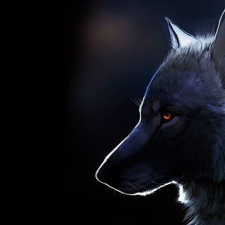 Wolf pictures wallpaper
