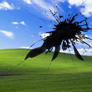 Windows XP wallpaper