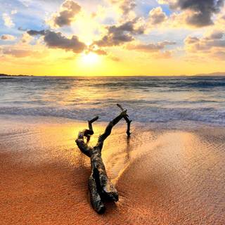 Beach screen backgrounds