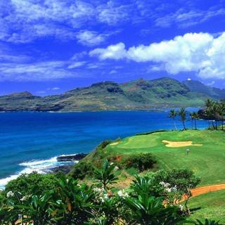 Hawaiian screensavers free