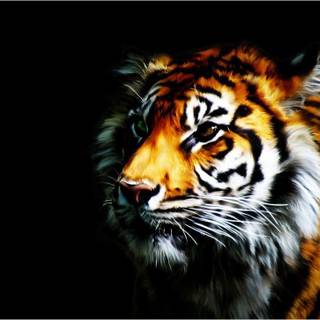 Wallpaper tiger