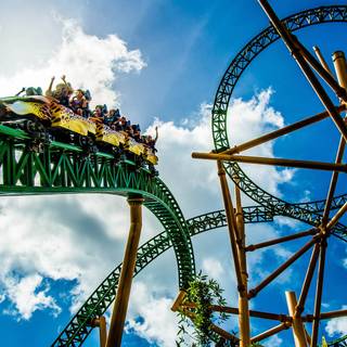 Roller coaster wallpaper