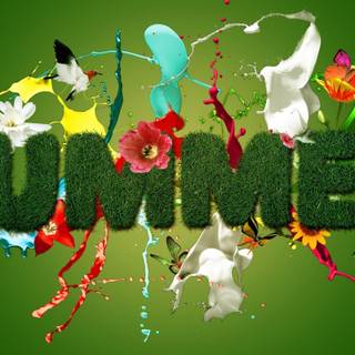 Summer picture wallpaper