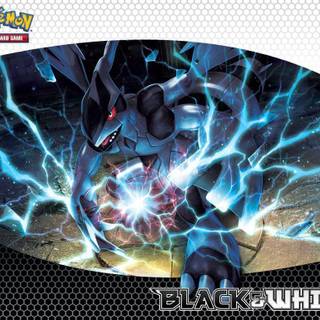 Pokemon black wallpaper