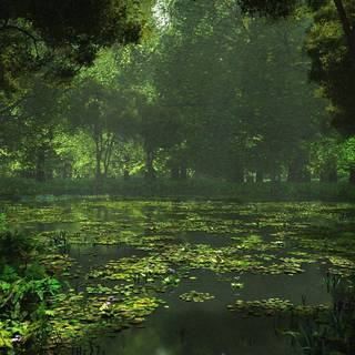 Nature desktop backgrounds free