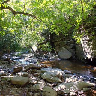 Summer scenes wallpaper