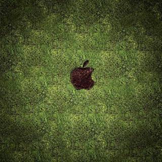 Apple grass wallpaper