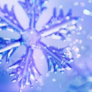 Snow flake wallpaper