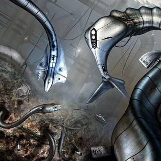 Cool pictures to download