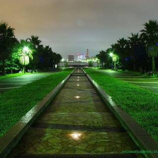 Nature rain wallpaper