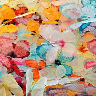 Butterfly background wallpaper