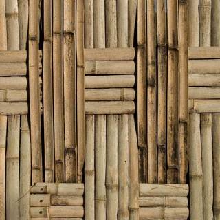 Bamboo background image
