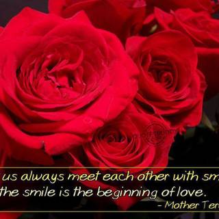 Cute love quotes wallpaper