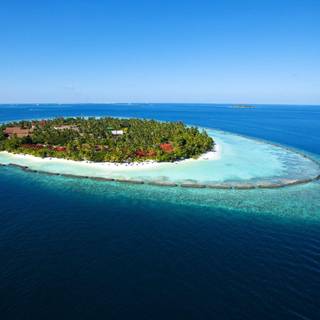 Amazing computer background pictures