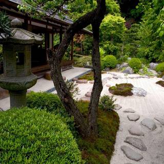 Zen garden wallpaper