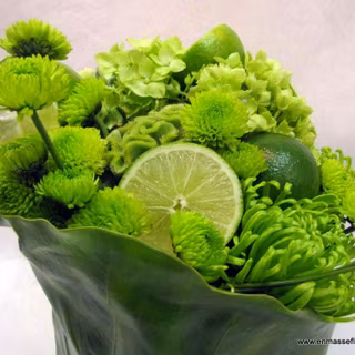 Green flowers pictures