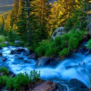 Wallpaper nature pictures