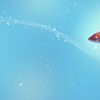 Fish backgrounds