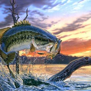 Largemouth bass wallpaper
