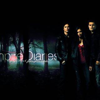 Vampire Diaries wallpaper
