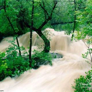 Latest desktop background