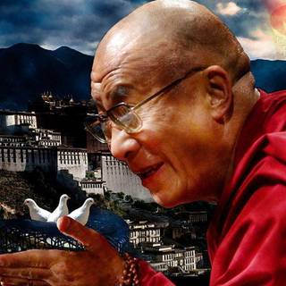 Dalai Lama wallpaper