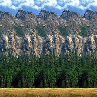 Stereogram wallpaper