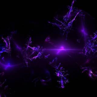 Black purple background