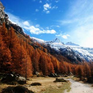 Mountain desktop backgrounds