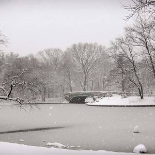 Winter background wallpaper