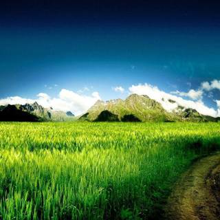 Beautiful nature backgrounds