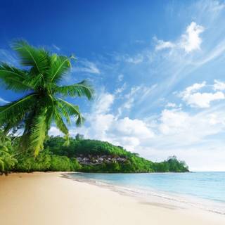 Wallpapers beach